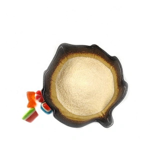 Bovine Skin Gelatin Pork Bone Gelatin for Food
