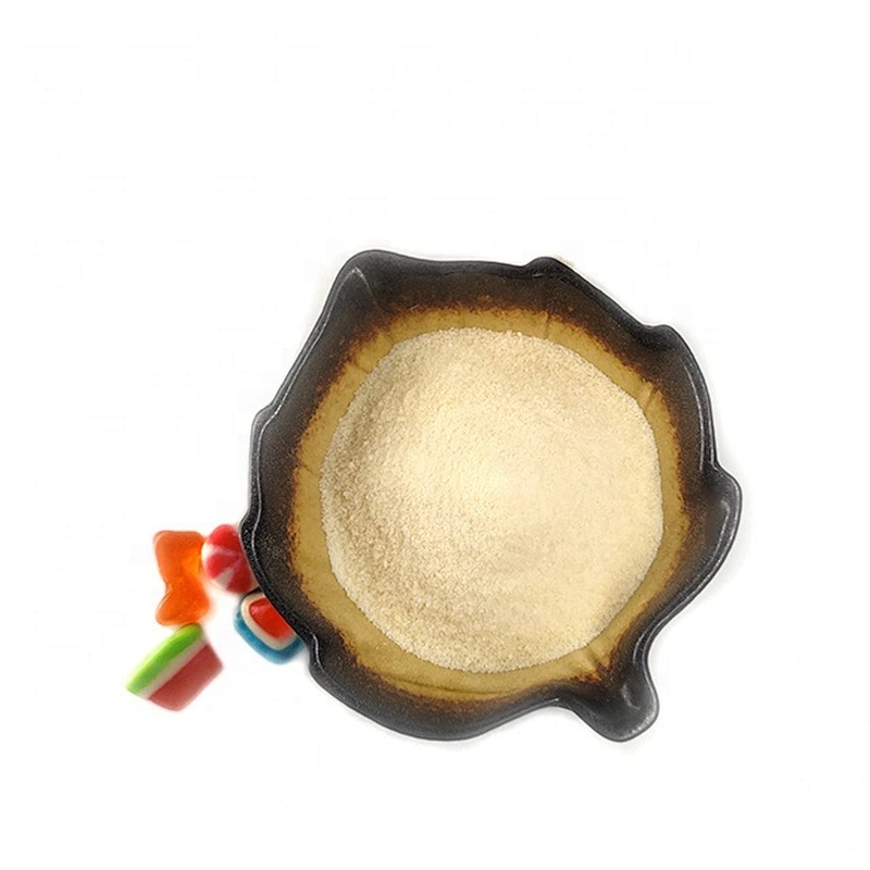 Bovine Skin Gelatin Pork Bone Gelatin for Food